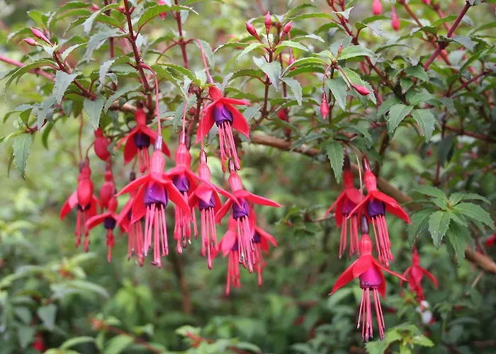 Σπίτι διακοπών The Stone