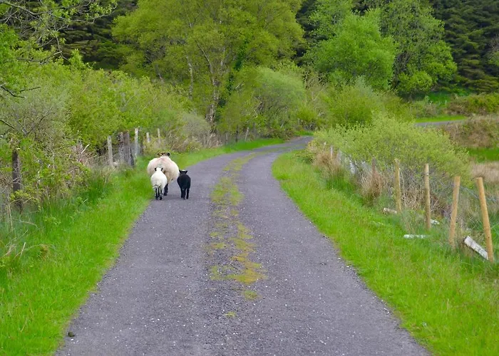 בית נופש The Stone *