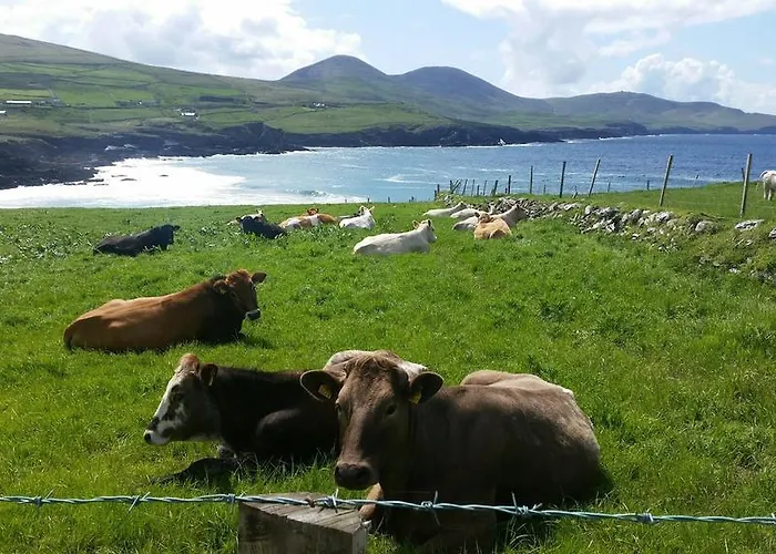 The Stone קנמארה